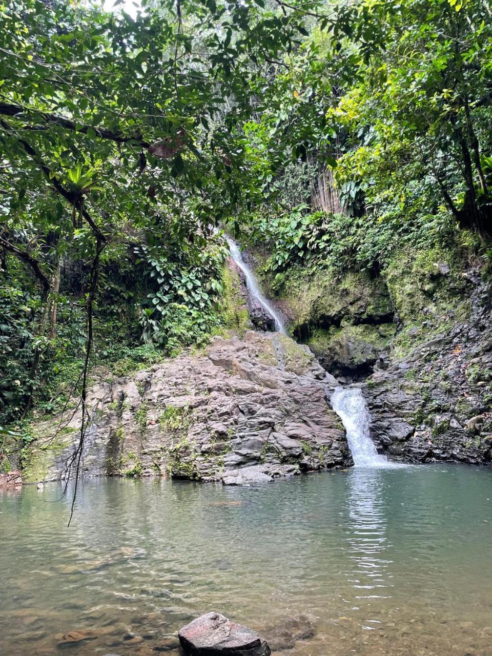 Villa Barthelemy Goyave ภายนอก รูปภาพ